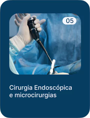 carrossel-4-68a64bac03eba